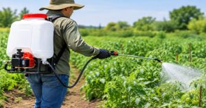 utiliser une pompe pulverisateur